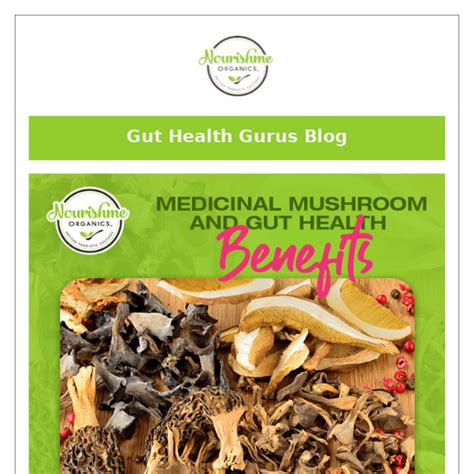medicinal mushrooms for gut health